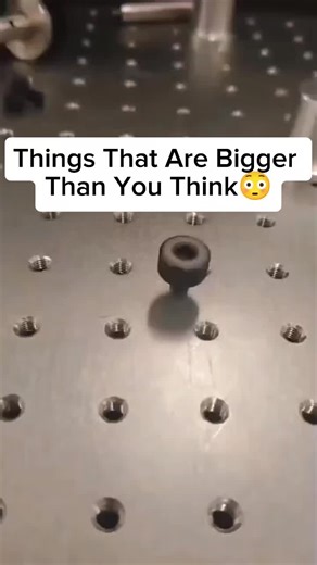Surprising Facts About Things Bigger Than You Think