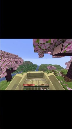 Minecraft Boat 🚣‍♂️