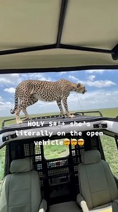 12K views · 122 reactions | Prepare for an unforgettable journey...