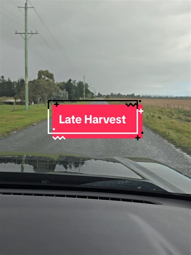 Canterbury's Late Harvest Challenges for Arable Farmers