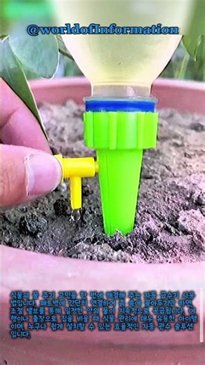 식물 물 주기 해결! 조절형 자동 급수 스파이크 활용법 #worker #process #wateringsystem #homegardening #plantcare