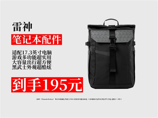 【笔记本配件推荐】雷神黑武士PRO笔记本电脑包，适配17.3英寸，多功能大容量，旅行游戏双肩包，男女学生适用，到手价195元！
