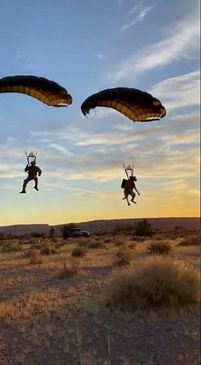 Watch This K9 Jump Over a Red Rock Canyon