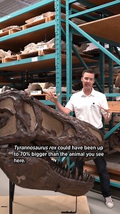 339K views · 6.8K reactions | New Study Asks How Large Dinosaurs...