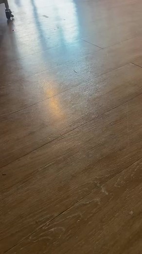 Wait until you see the NEW Pillow Pets coming in soon!! #newpets #❤️pillowpets