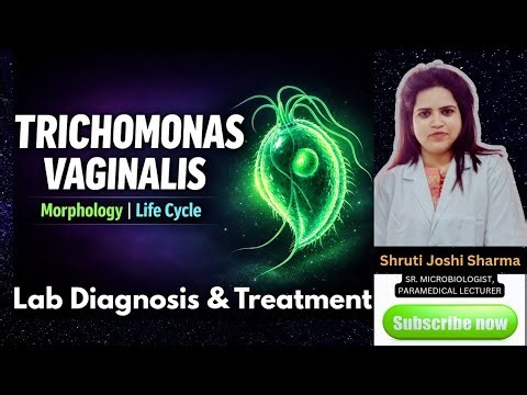 Trichomonas vaginalis | Morphology, Life Cycle, Pathogenesis & Treatment