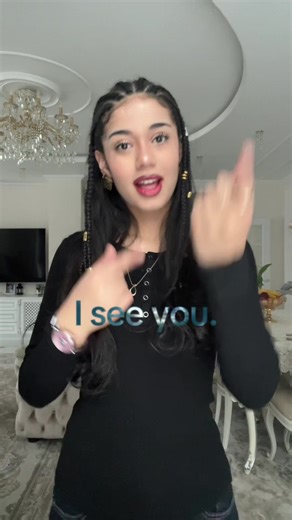 Avatar Sign Language Scenes Featuring Neytiri