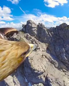 290K views · 7.9K shares | A literal birds eye view of the Alps! Footage by Red Bull Adventure | Beauty Of Planet Earth | Facebook