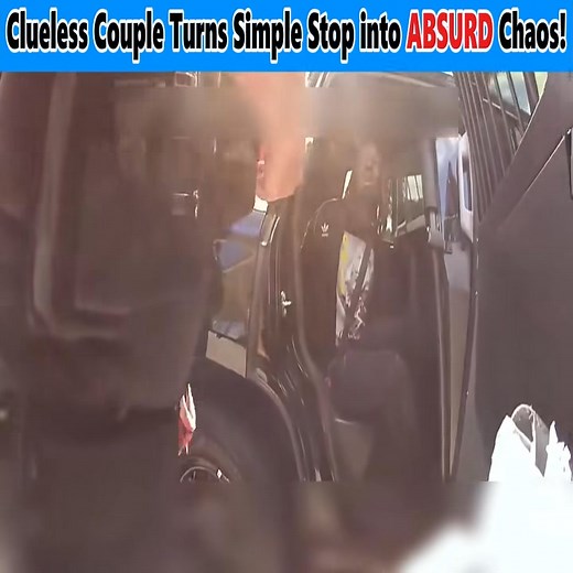 Clueless Couple Turns Simple Stop into ABSURD Chaos! | True Crime