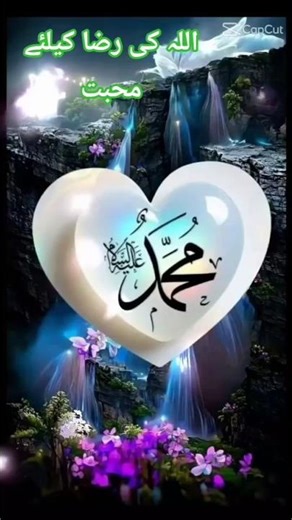 حضرت محمد مصطفی ص نے فرمایا اللہ تعالیٰ کی رضا کے لیے جو عبادت کرے اسے اللّٰہ تعالیٰ اجر۔۔۔#shorts