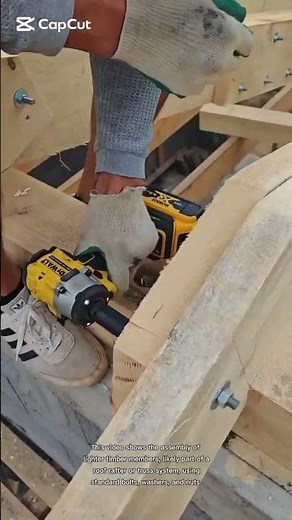 assembly of lighter timber members#shortsfeed