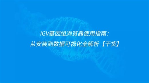 IGV基因组浏览器使用指南：从安装到数据可视化全解析【干货】