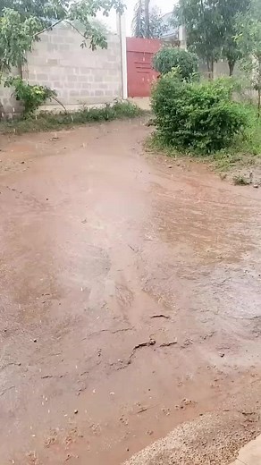 Zero Brain Man Found in Africa