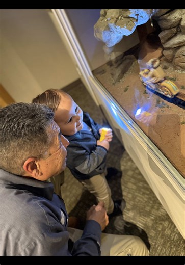 Sharing curiosity across generations! Thanks to Zona Mechanical, presenting sponsor of Creatures of the Night, for supporting our mission to advance the art of miniatures, highlight large-scale rotating exhibitions, and reach new audiences. #CommunityPartners #MuseumTok