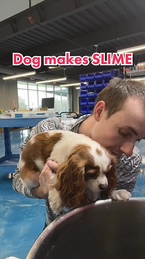 Creating Dog-Themed Slime with Ivy the Corgi