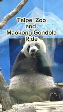 Taipei Zoo + Maokong Gondola, the ultimate daytrip adventure in Taiwan