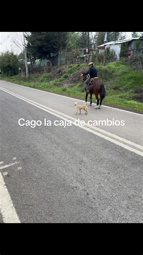 Cagué la caja de cambios: causas y qué hacer ahora