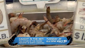 12K views · 45 reactions | Tuesday at 6p & 11p WNCT Elizabeth Tew brings you the story of regulations on the fishing industry in North Carolina and how it can impact all of us. Check out this preview for #CaughtInTheNet which airs Tuesday at 6 & 11p on WNCT-TV 9 On Your Side. | WNCT-TV | Facebook