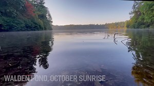 24 reactions | Up early to catch the sunrise at Walden Pond in Concord, Massachusetts. Filmed from Thoreau’s Cove near the cabin site, the perimeter trail, and the Ice Fort Cove #thoreau #waldenpond #asmr #relaxing #concordma | RoadTrip New England | Facebook