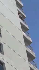 Dude Climbed Over And Fell To His Death