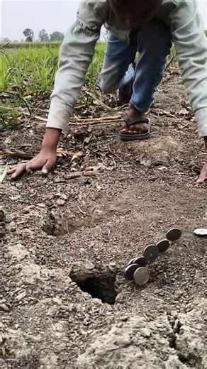 I lost my Coins 🪙 Part 10