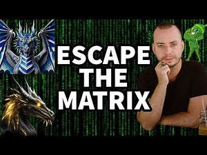 Beginners guide to ESCAPE THE MATRIX with Brandon Joe Williams ‪@onestupidfuck‬.