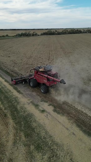 Wheat Harvesting in Australia 2024: A Complete Guide