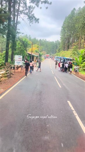 අපේම උන්ගෙ තැනට බහින සයාගී අපි #සයාගී_royal_edition #නූතණ_තාරැණ්‍යයේ_උන්මාදනීය_හැඩකාරිය #sayageroyaledition #sayageemafiacat #ශාලිකාව