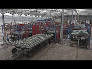 Triple Automatic Trailer Loading Lines and Boom Irrigation - Rotomation - Urbinati