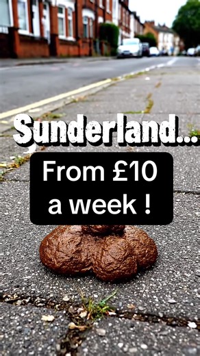 Professional Pet Waste Removal Services in North East