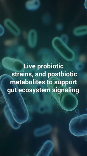 LP3 & The Science of Your Gut Microbiome | Prebiotics, Probiotics & Postbiotics Explained
