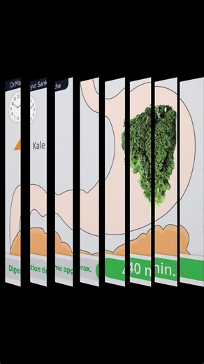 How Fast Your Body Digests Vegetables?