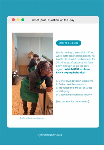 Understanding Stress Responses: Lazarus & Folkman’s Model