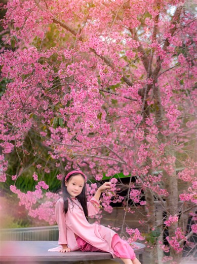 Gói ghém cả mùa xuân vào khung hình của bé Atisô. Một vài tấm ảnh chụp vội cuối năm, nhưng kỷ niệm thì sẽ theo con suốt đời. . #Atiso9tuoi #KyNiemCuaBa #MuaXuan #aodaivietnam