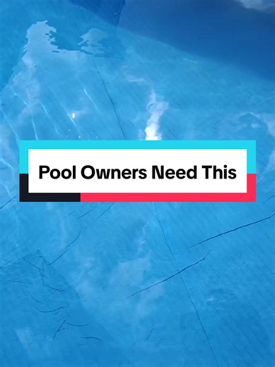 wise guy reviews on TikTok