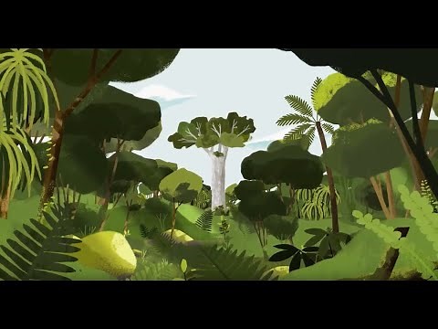 Kauri dieback - Tāne Mahuta needs our help