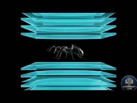Acoustic Levitation Explained (How Sound Can Trap Matter)