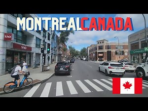 Traffic Tips: Learning to Drive in Montreal