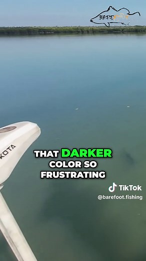 There’s one… but even buried deep and lit up dark, they’re tough as. Frustrating as hell — how do they ever manage a feed out here? #BarefootFishing #TopEndToughies #BarraFrustration #NTFishing #MangroveMystery
