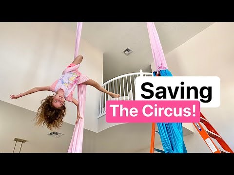 Saving the Circus!🎪