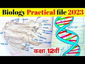 Biology Practical file 2022-23 | Up Board Class 12th Biology Practical | Jiv vigyan practical viva