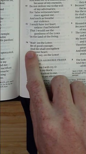 Psalms 27:14 • Bible Verse of the Day