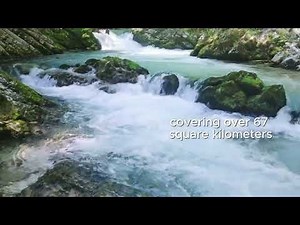 Black River Gorges National Park 🇲🇺 | Best Viewpoints & Hiking Trails in Mauritius!