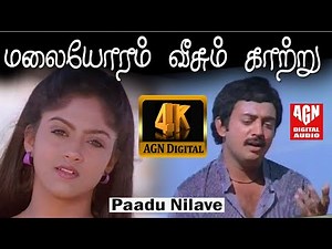 Malaiyoram Veesum Kaatru - Paadu Nilave
