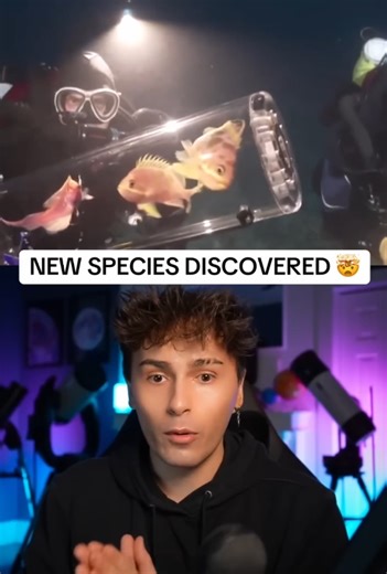 New species discovered, scientists stunned by rare lifeform found in the wild