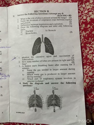 icse board class 6 bio final exam # #2026short #exam #shorts #viral #icse 2026