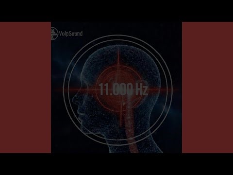 11000 Hz Notch Filter for Tinnitus Relief