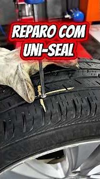 Reparo técnico de pneu com Uni-Seal da Tech