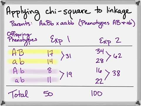 AP Bio (not so) Brief: Linkage, Chi Square, and Recombination