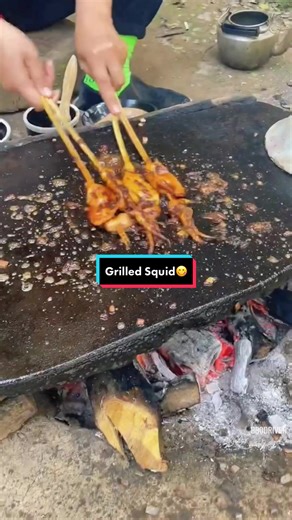 Delicious Chinese Grilled Squid Recipe | Outdoor Cooking